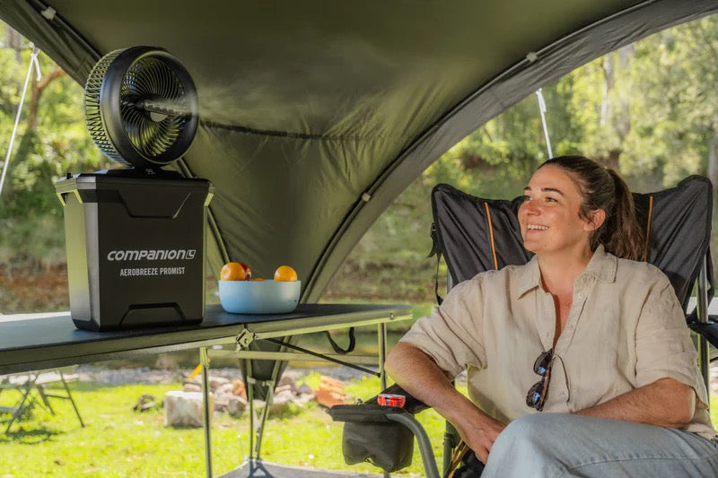 COMPANION AEROBREEZE PROMIST