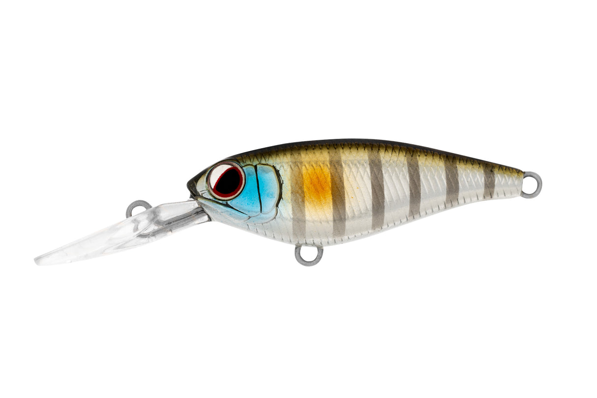 Daiwa Infeet Kodachi 40SF Lures