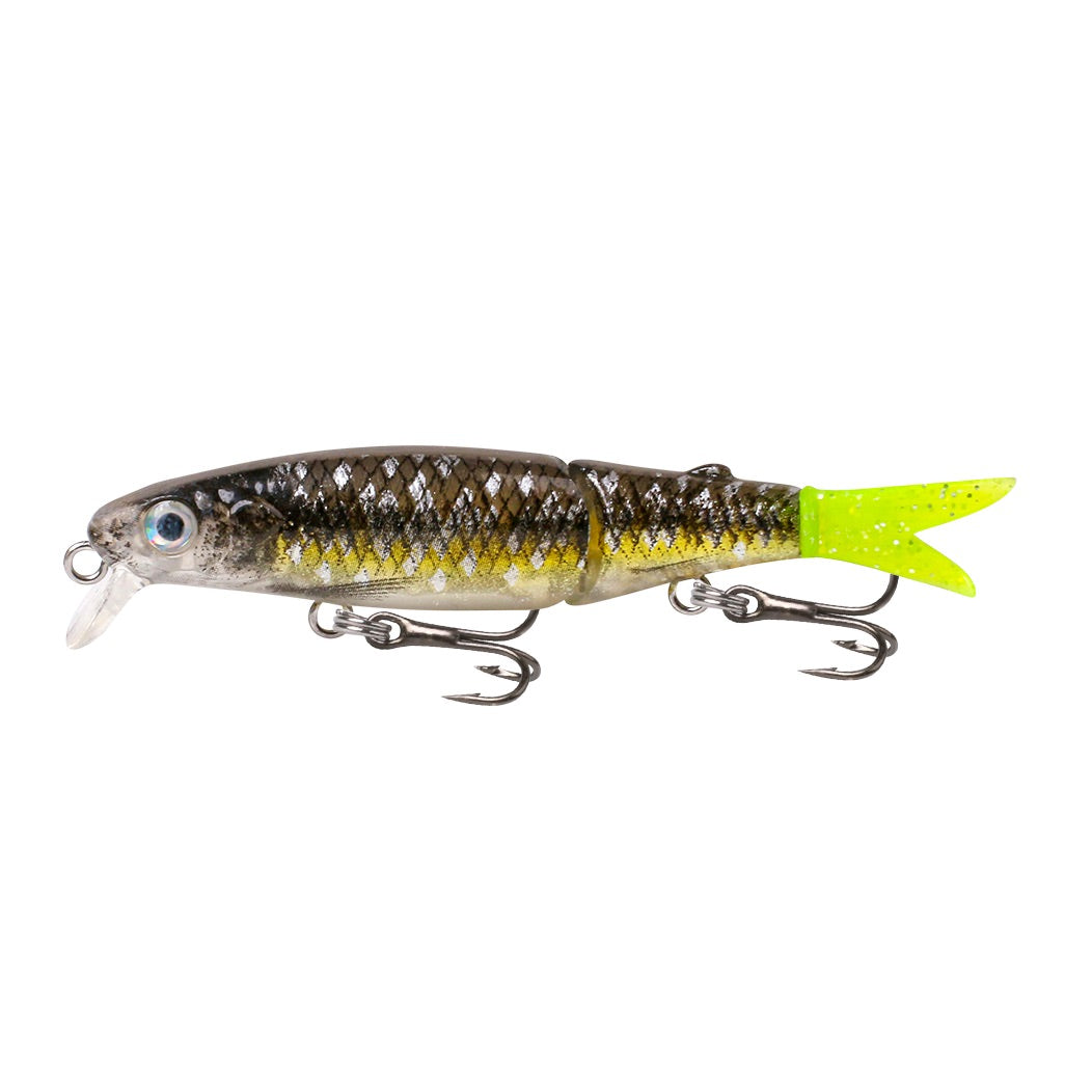 Fish Craft Squirmer 70mm Lures