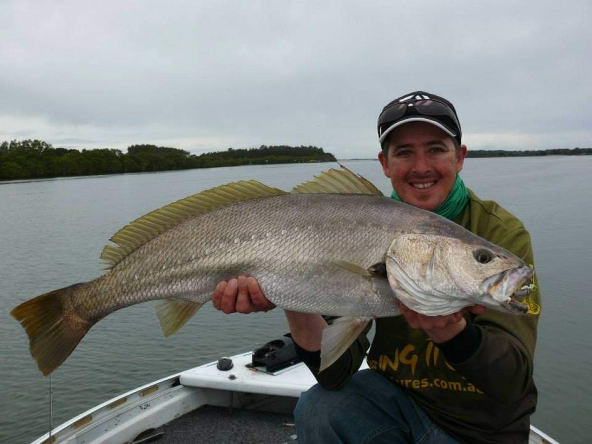 Pro Cure Super Gel Scent