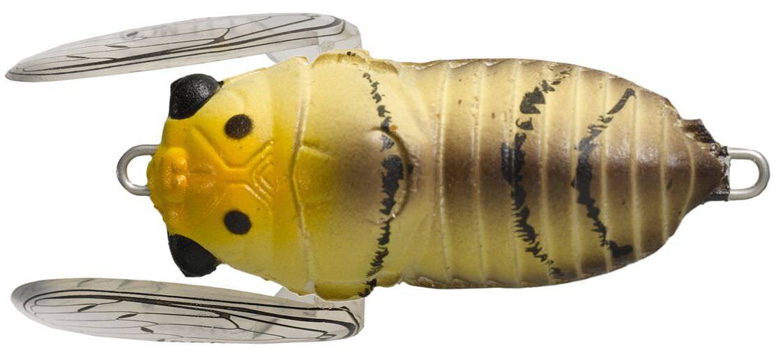 Tiemco Soft Shell Cicadas