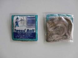 Tweed Bait Beach Worms 1 Pack