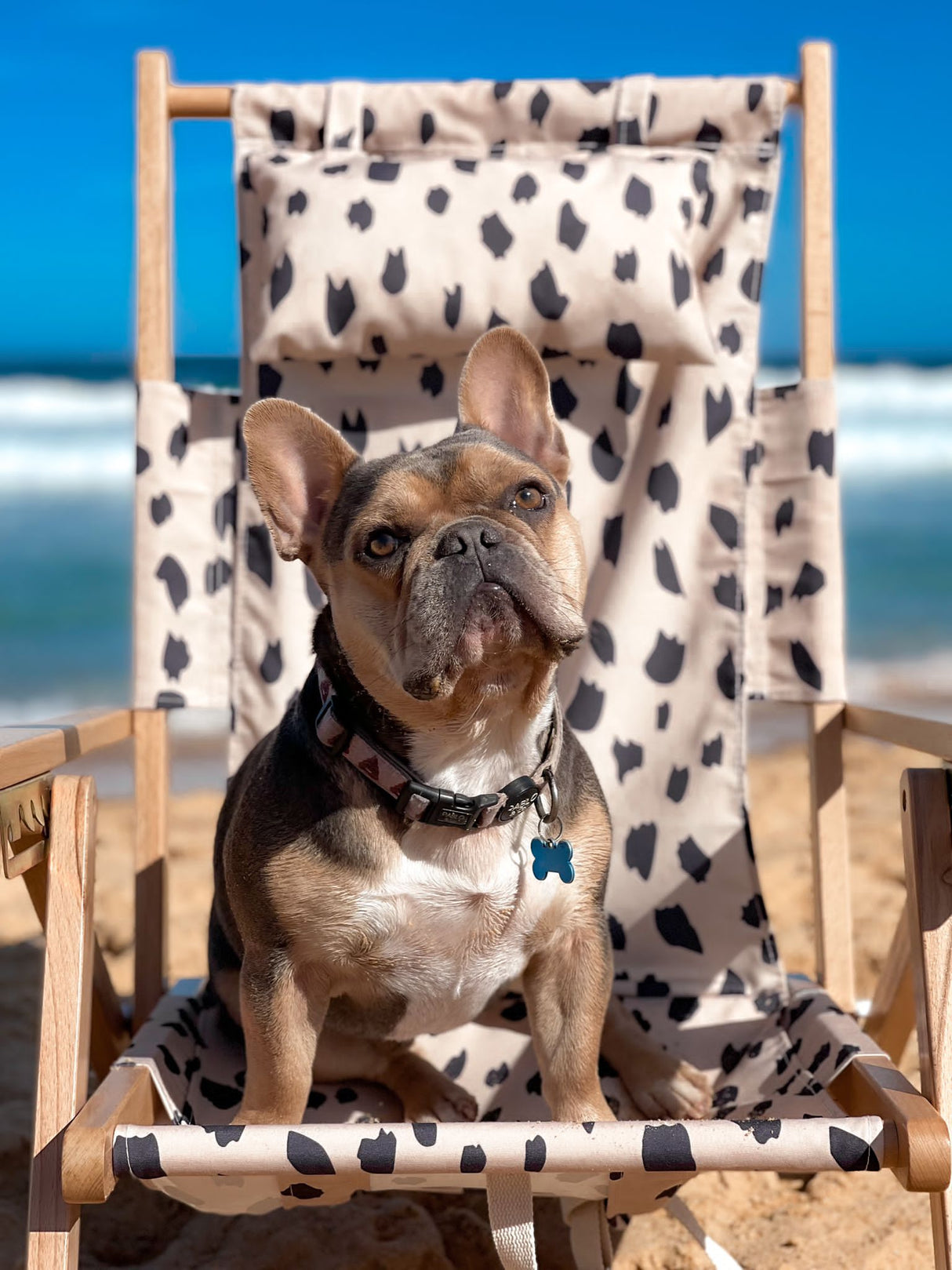 Alohra Bondi Reclining Beach Chair Jungle Fever