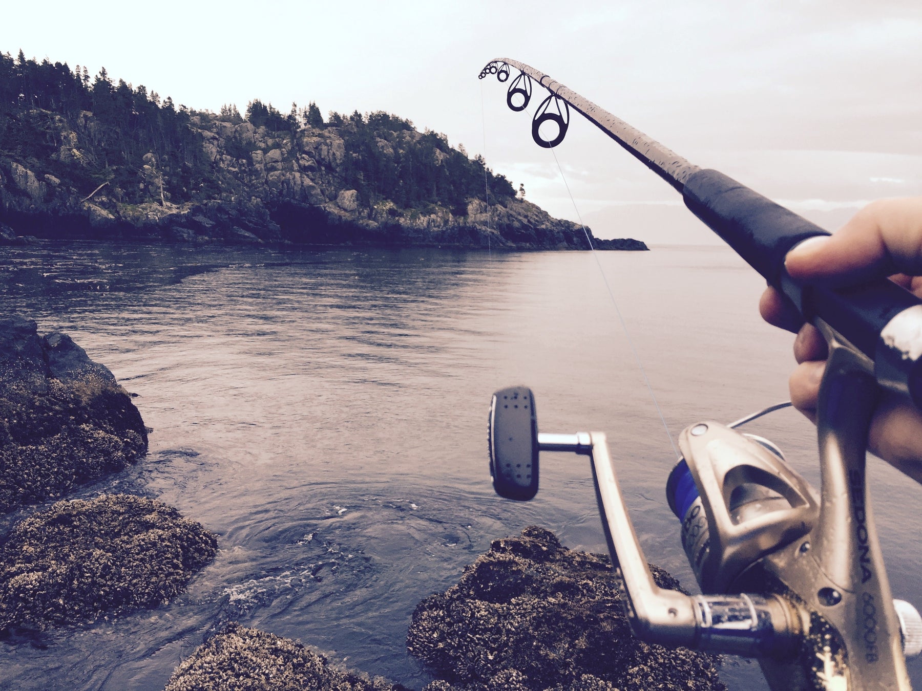 Don’t Go Fishing Again Without This Checklist!