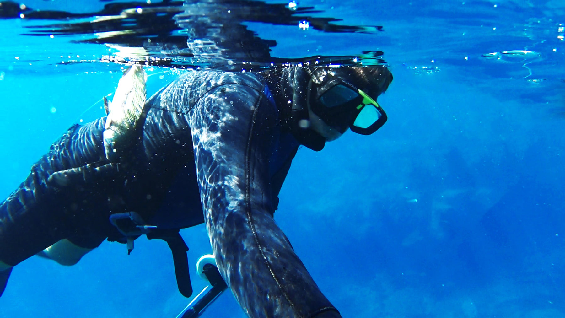 The Summer of Spearfishing is waiting for you