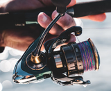 Daiwa 23 Kix Spin Reels