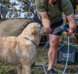 COMPANION AQUAHEAT NXT HOT WATER UNIT