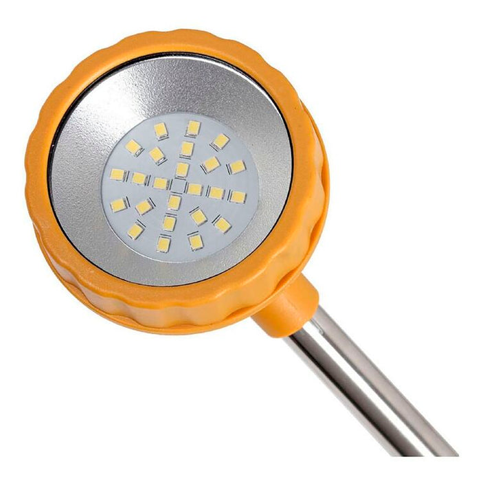 Shell Loomi Rechargeable Prawn Light