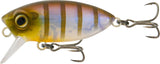 Samaki Redic Footy Bug SF40 Hard Bodied Lures