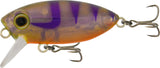 Samaki Redic Footy Bug SF40 Hard Bodied Lures