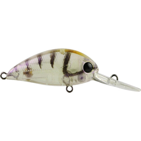 Atomic Hardz Crank 38 Lures