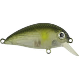 Atomic Hardz Crank 38 Lures