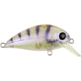 Atomic Hardz Crank 38 Lures