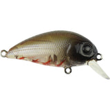 Atomic Hardz Crank 38 Lures