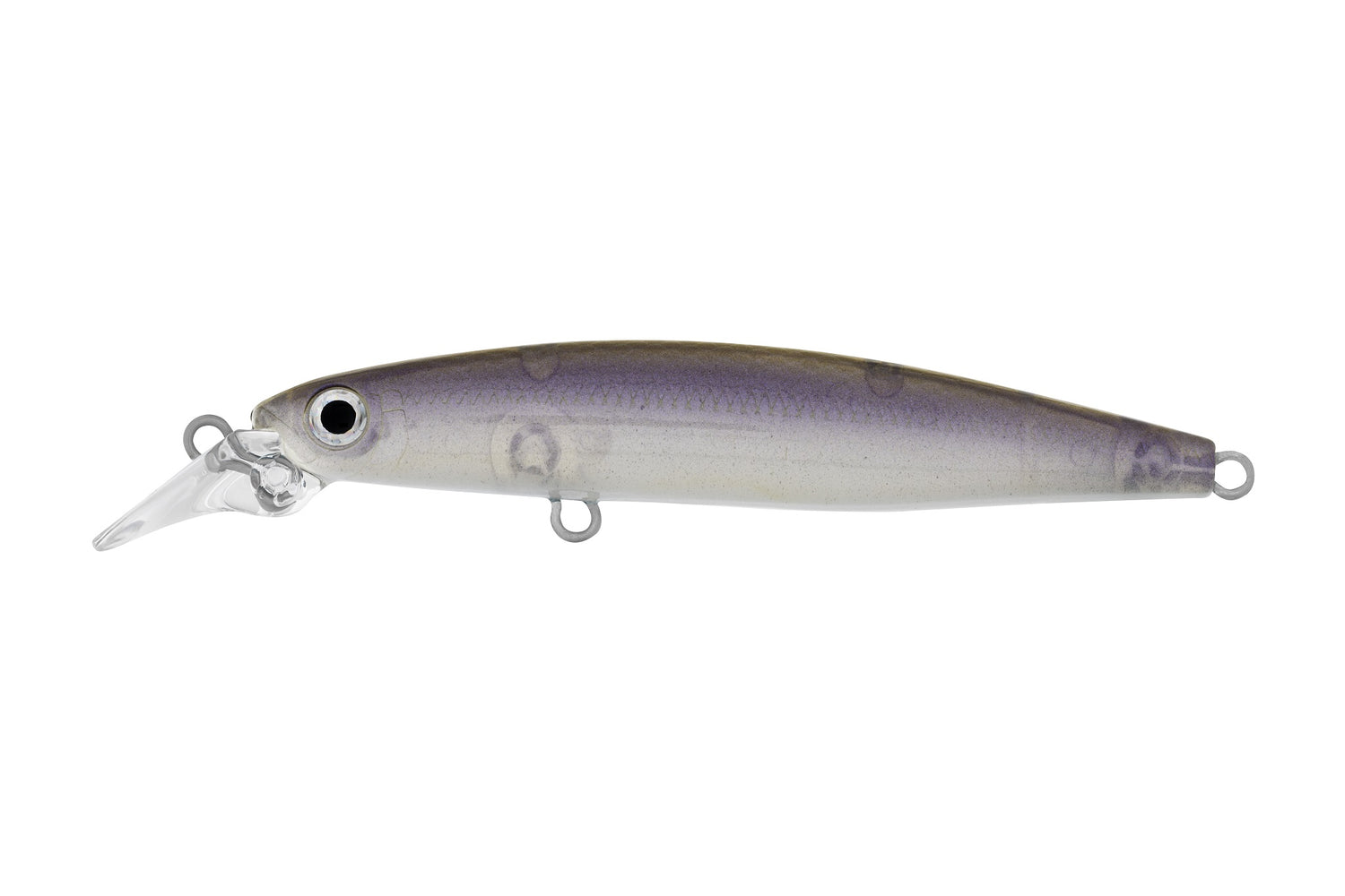 Daiwa Infeet Sazanami 60SP Lures