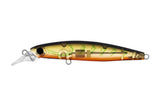Daiwa Infeet Sazanami 60SP Lures