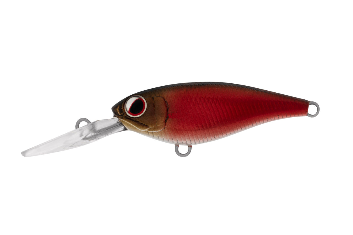 Daiwa Infeet Kodachi 40SF Lures