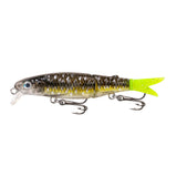 Fish Craft Squirmer 70mm Lures