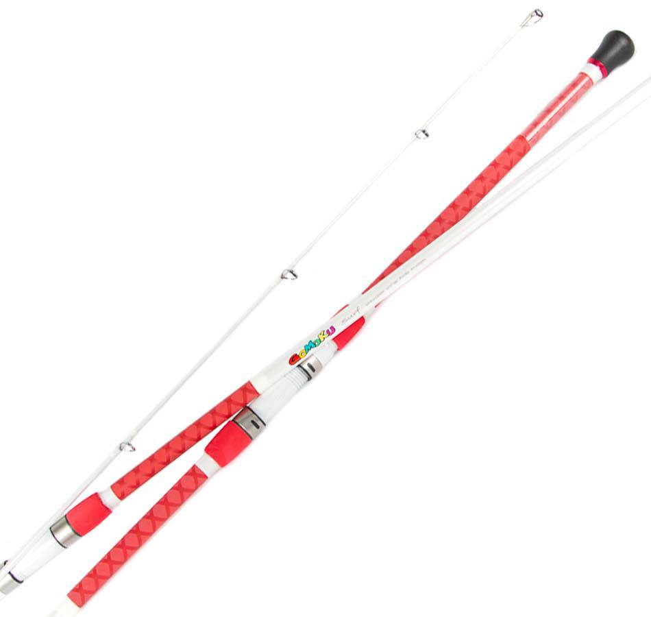 Surf Fishing Rods | Australia | Fishing Rods – Freddys Fishing & Outdoors