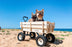 Alohra Timber Beach Carts