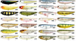 Lucky Craft Sammy 65mm Lures