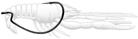 Owner Wide Gape Worm Hooks