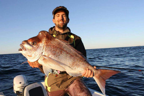 Pro Cure Super Gel Scent