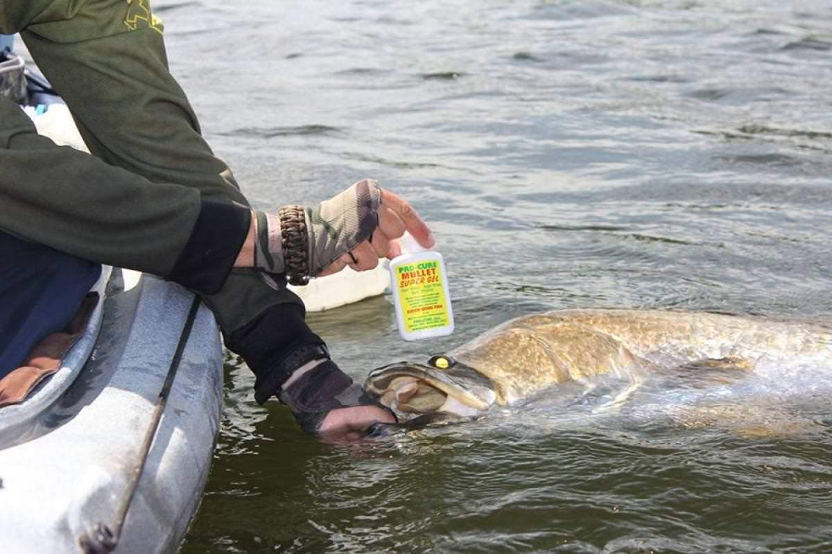 Pro Cure Super Gel Scent