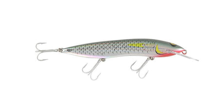 RMG Scorpion 150 DD Lures