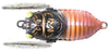 Tiemco Soft Shell Cicadas