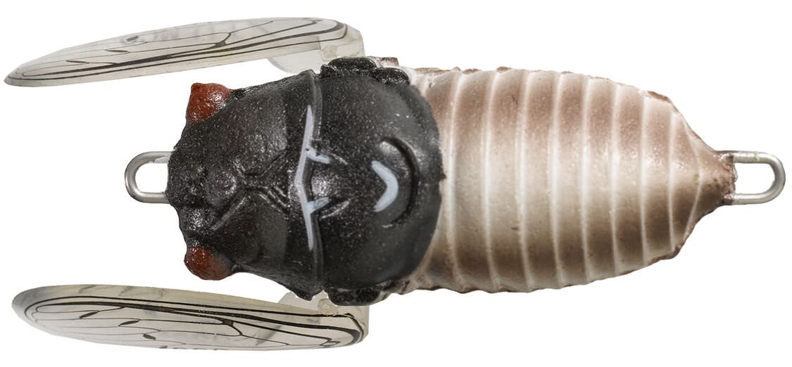 Tiemco Soft Shell Cicadas
