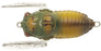 Tiemco Soft Shell Cicadas
