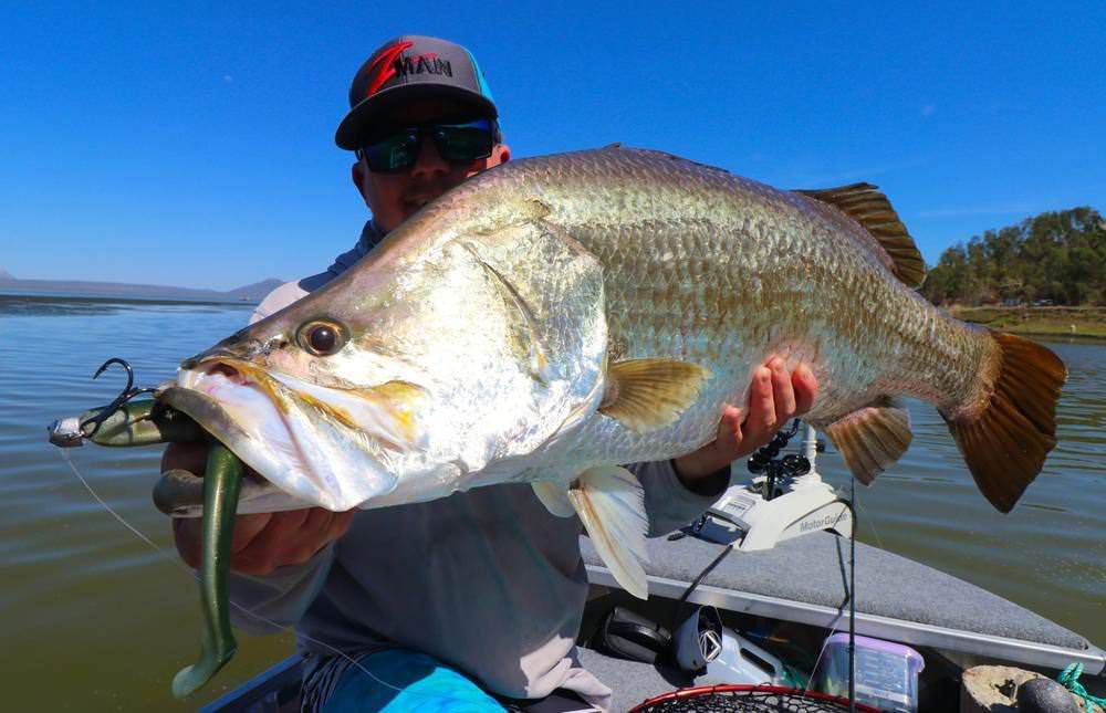 TT SwimlockZ Jigheads