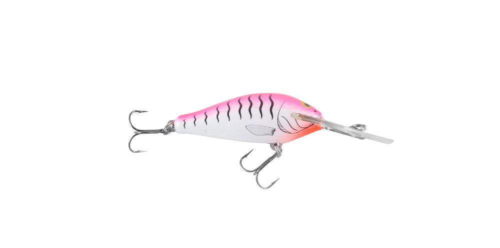 Tilsan Bass 55 Lures