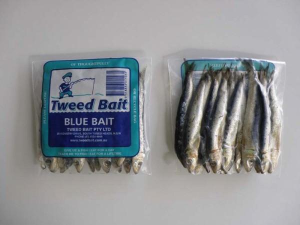 Tweed Bait Blue Bait Salted 200g