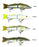 MMD Whiting Glidebait Floating Lures
